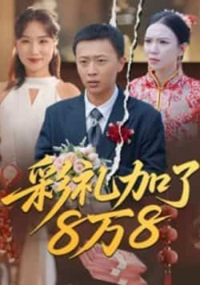 热门短剧彩礼加了8万8全集完整未删减,纯净免费在线观看,百度夸克网盘免费资源分享下载。