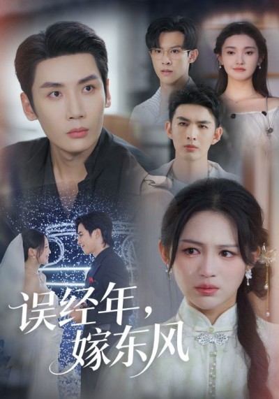 短剧 《误经年嫁东风》 超高清全集无删减版在线看