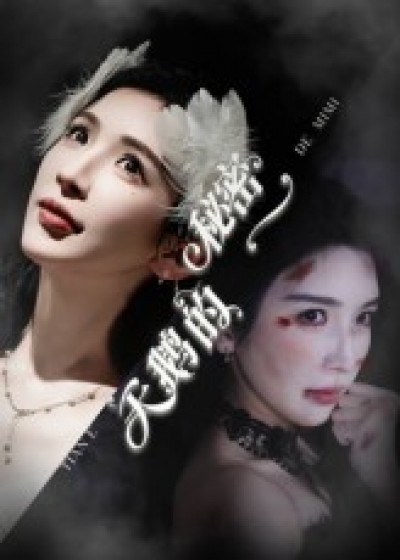 短剧 《天鹅的秘密》 1080P 超高清全集无删减版在线免费播放，天鹅的秘密超高清全集