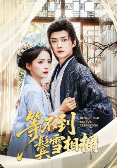 短剧 《等不到鬓雪相拥》 超高清无删减全集完整版免费在线看
