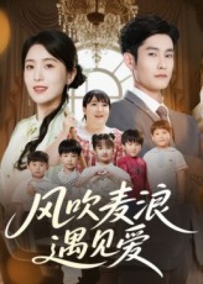 短剧 《风吹麦浪遇见爱》 高清全集无删减版免费在线观看，风吹麦浪遇见爱高清全集