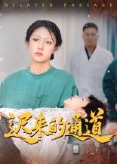 短剧迟来的通道张永超主演30集高清全集无删减版在线播放1080P