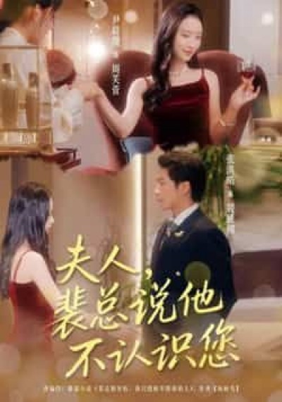 夫人裴总说他不认识您（75集）张淇皓、尹晨攒，全集未删减，百度夸克网盘免费在线观看下载。