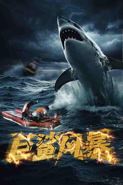 短剧《巨鲨风暴》 高清短剧全集免费欣赏，完整版在线随心看无障碍