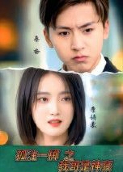 孤注一掷之我哥是神豪短剧1080P高清完整，全集完整版在线观看