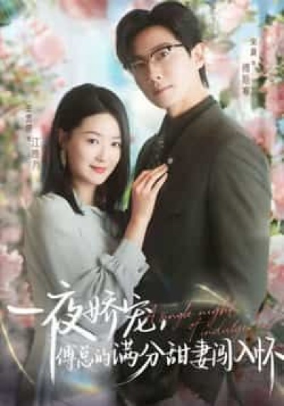 一夜娇宠，傅总的满分甜妻闯入怀全集免费稳定在线观看，未删减版百度网盘夸克网盘资源下载。