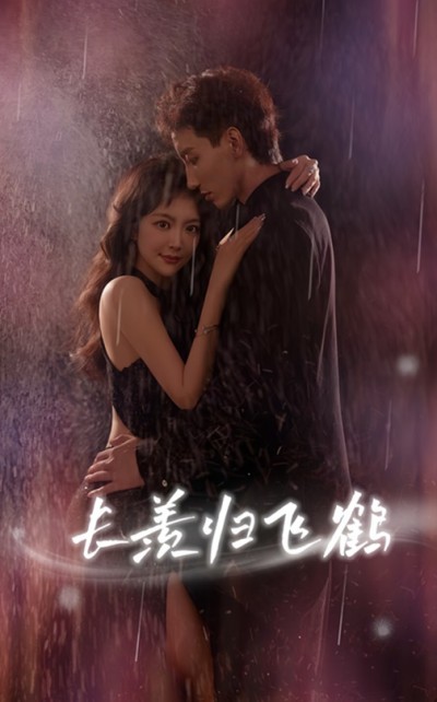 短剧 《长羡归飞鹤》 HD 高清全集完整版免费在线看，长羡归飞鹤高清全集免费看