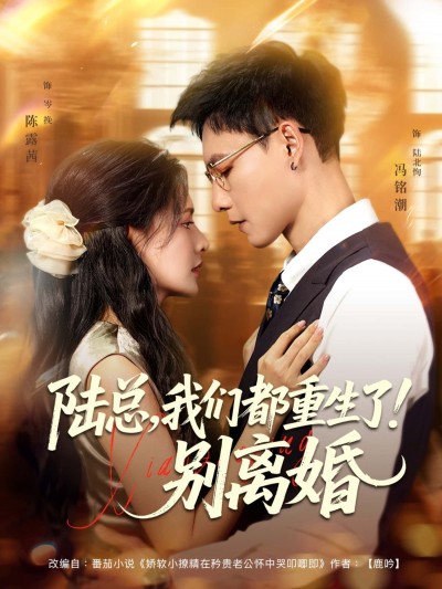 短剧陆总，我们都重生了！别离婚在线播放，高清完整全集无删减版，即刻追更！