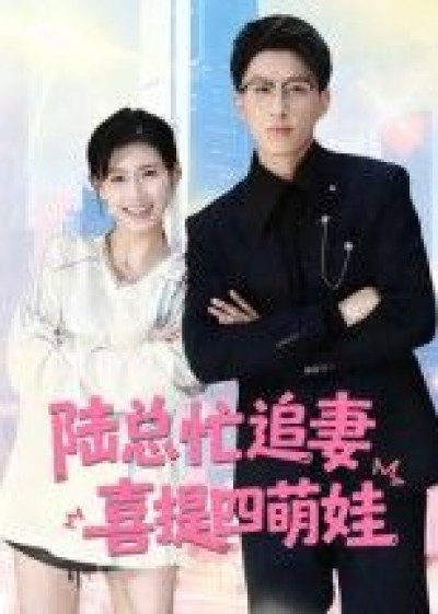 短剧 《陆总忙追妻喜提四萌娃》 观看 1080P 超高清全集完整版