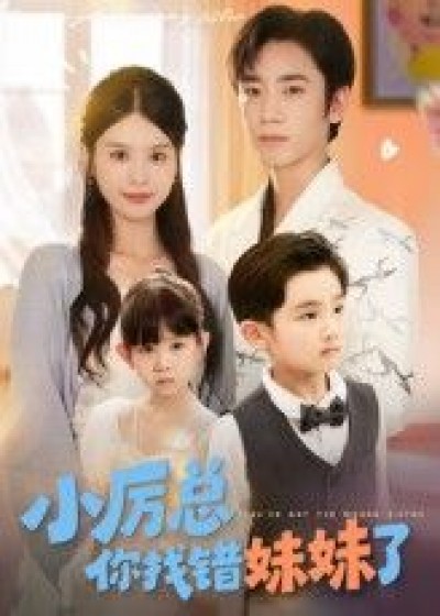 小厉总你找错妹妹了高清全集完整版免费在线观看，HD画质畅享！