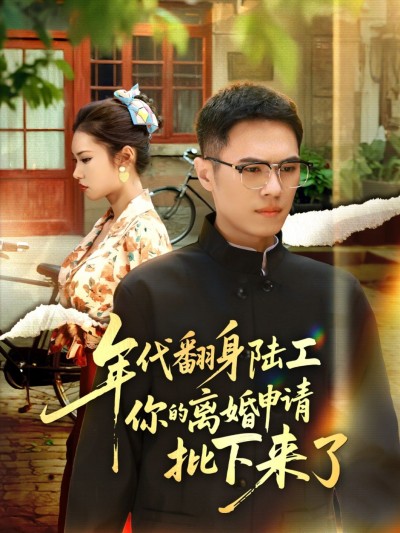 年代翻身短剧，陆工离婚申请获批，前妻后悔别找我！高清全集完整版在线观看HD