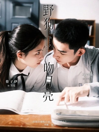 想看野狗吻月亮短剧高清全集完整版1080P？立即免费在线观看资源，全集无删减