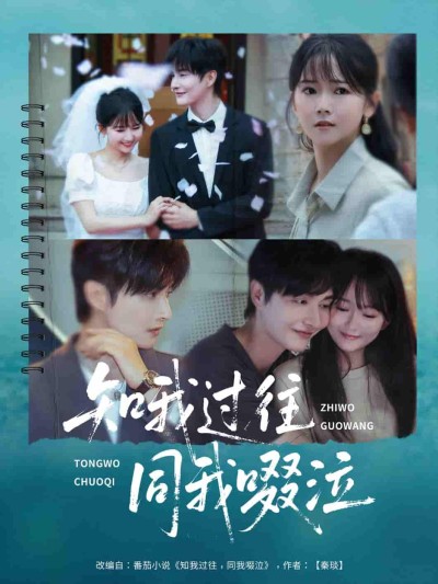 短剧《知我过往同我啜泣》 免费观看！高清全集在线播放，大结局震撼揭晓！