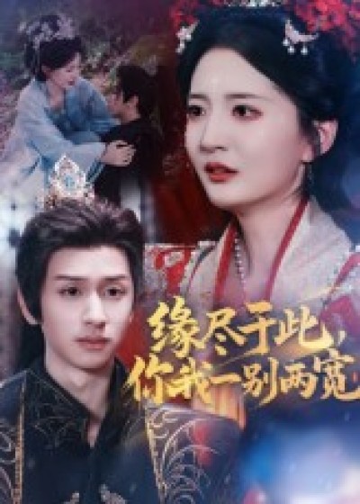 短剧 《缘尽于此你我一别两宽》 高清全集完整版免费在线看