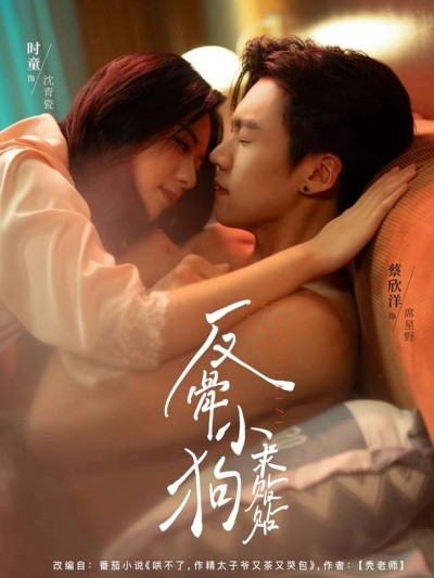 短剧反骨小狗求贴贴免费看，高清全集完整版在线播放，速来！