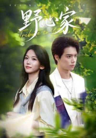 热门短剧野心家全集完整版免费无水印在线观看，未删减版百度网盘夸克网盘资源下载。