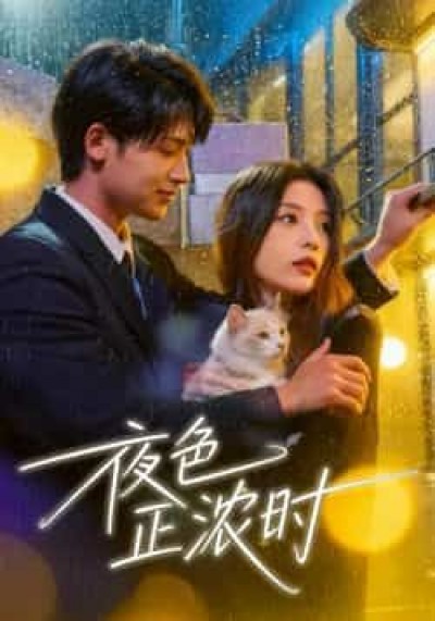 热门短剧夜色正浓时全集实时更新,免费看未删减版,百度夸克网盘资源分享下载。