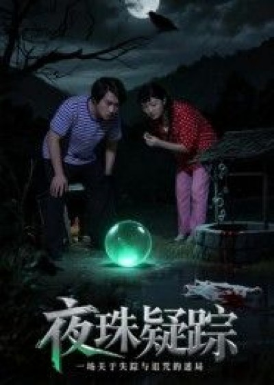 短剧 《夜珠疑踪》 在线观看超高清完整全集无删减