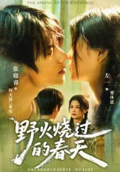 短剧野火烧过的春天HD高清1080P，春日涅槃野火重生，完整全集在线观看，高清畅享！