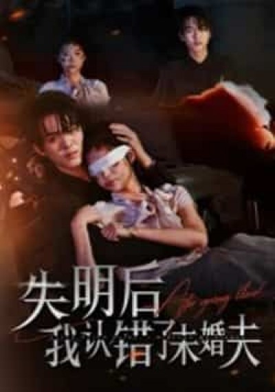 热门短剧失明后我认错了未婚夫全集高清未删减，免费在线观看，百度夸克网盘资源分享下载。