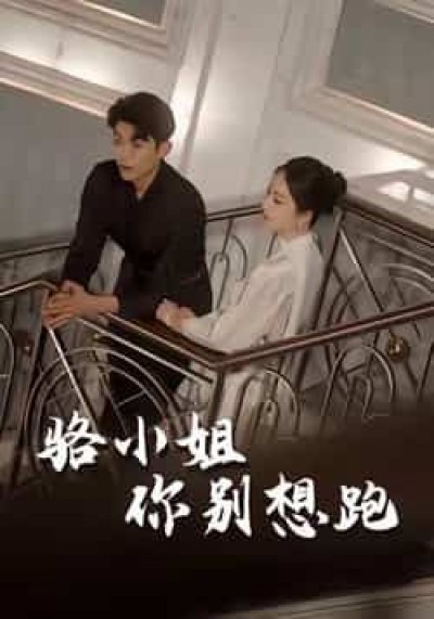热门短剧骆小姐你别想跑全集完整版免费在线观看，未删减版百度网盘、夸克网盘免费分享下载。