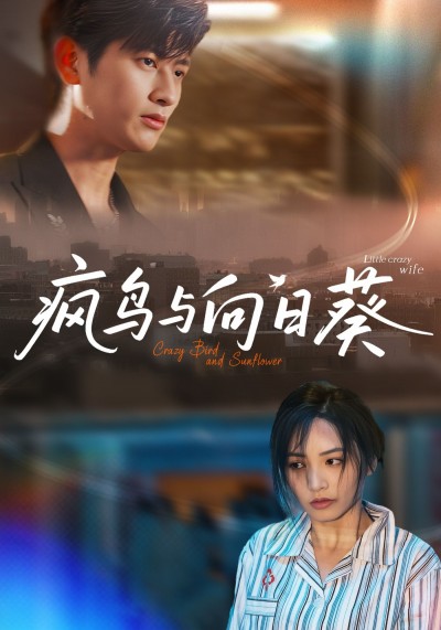 疯鸟与向日葵超高清全集完整版免费在线播放，超清画质全集畅看，无卡顿无广告即刻观看。