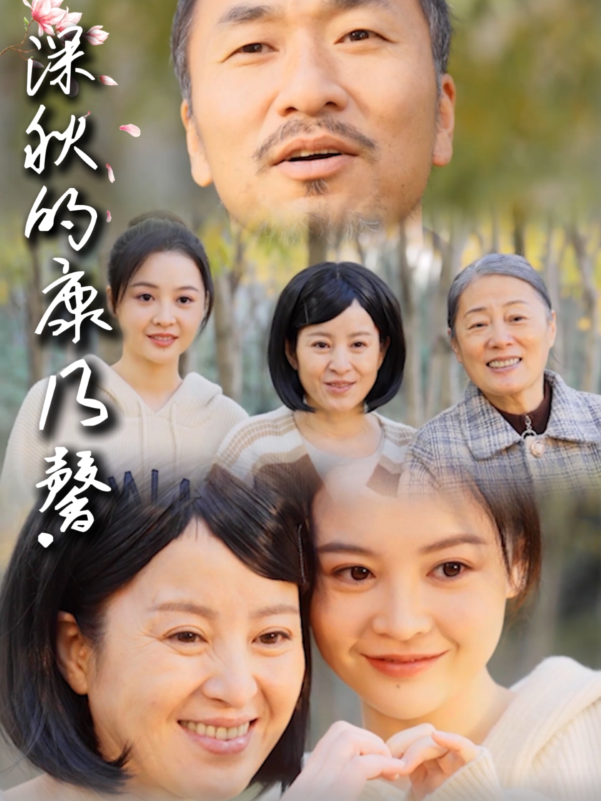 短剧《深秋的康乃馨》 短剧全集免费看，高清在线播放，大结局已完结！  第1张