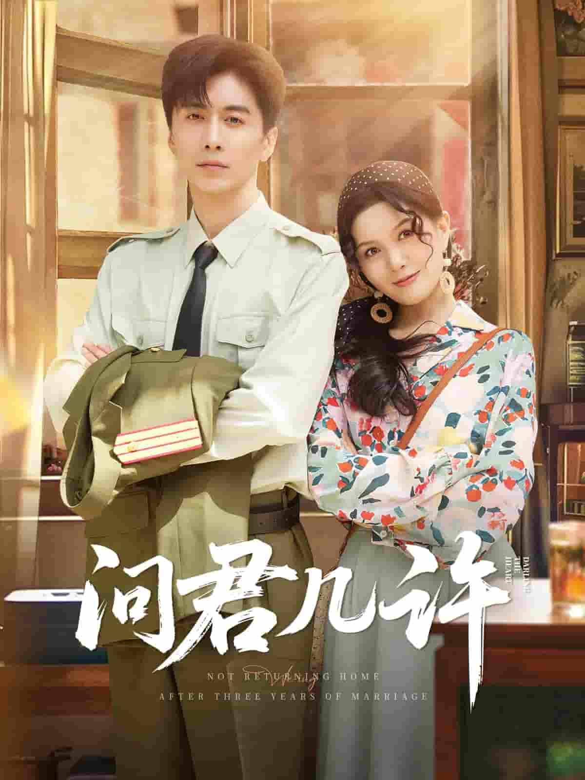 短剧《问君几许》 完整版高清短剧免费看，在线全集无障碍享  第1张