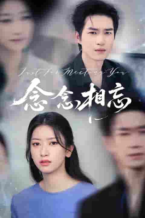 短剧《念念相忘&焚心不候》 高清短剧全集在线，免费完整版观看无障碍  第1张