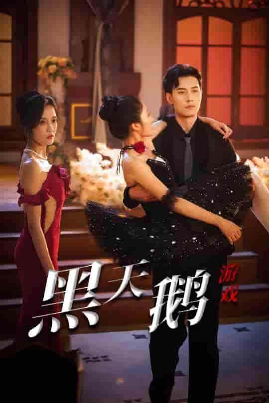 短剧《黑天鹅游戏》 完整版高清短剧免费，在线全集自由观看  第1张