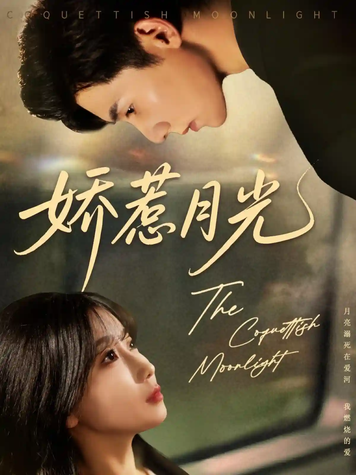 短剧《娇惹月光》 高清短剧全集在线，免费完整版无障碍享  第1张