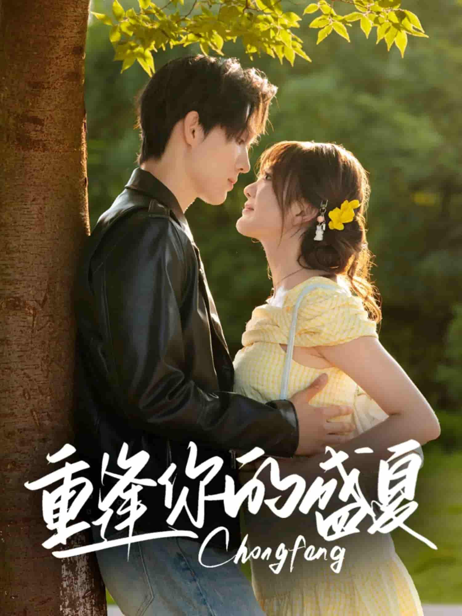 短剧《重逢你的盛夏》 高清短剧全集在线，免费完整版无障碍自由欣赏  第1张