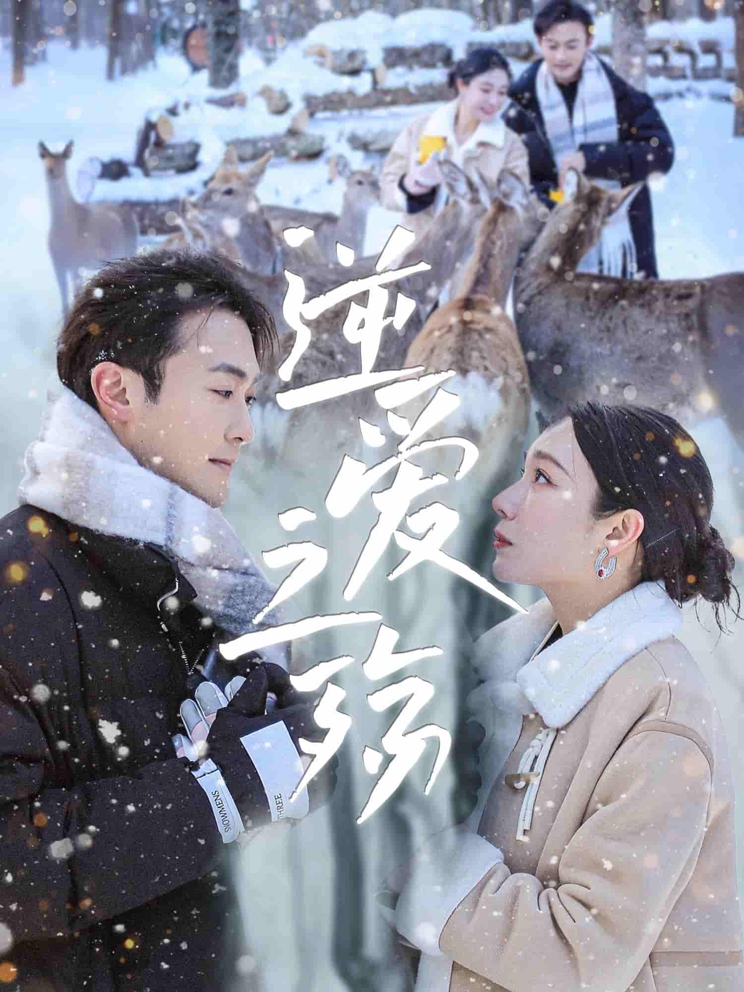 短剧《逆爱之殇》 免费看高清全集，大结局震撼揭晓  第1张