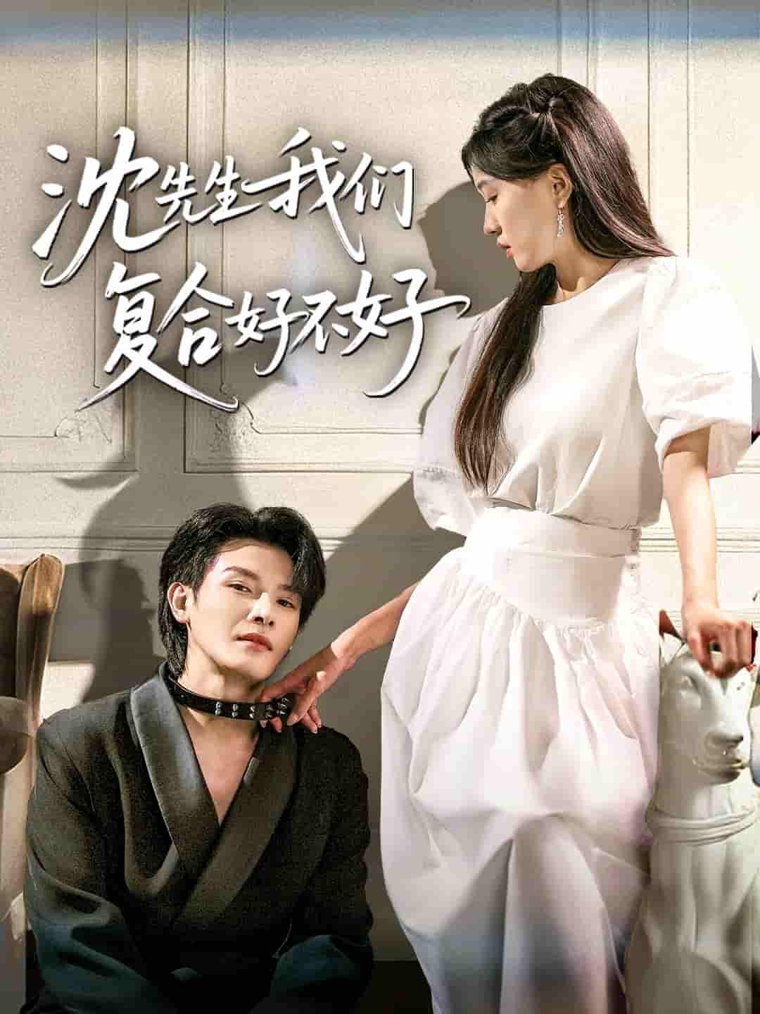 短剧《沈先生我们复合好不好》 免费在线观看高清全集，大结局已完结！  第1张