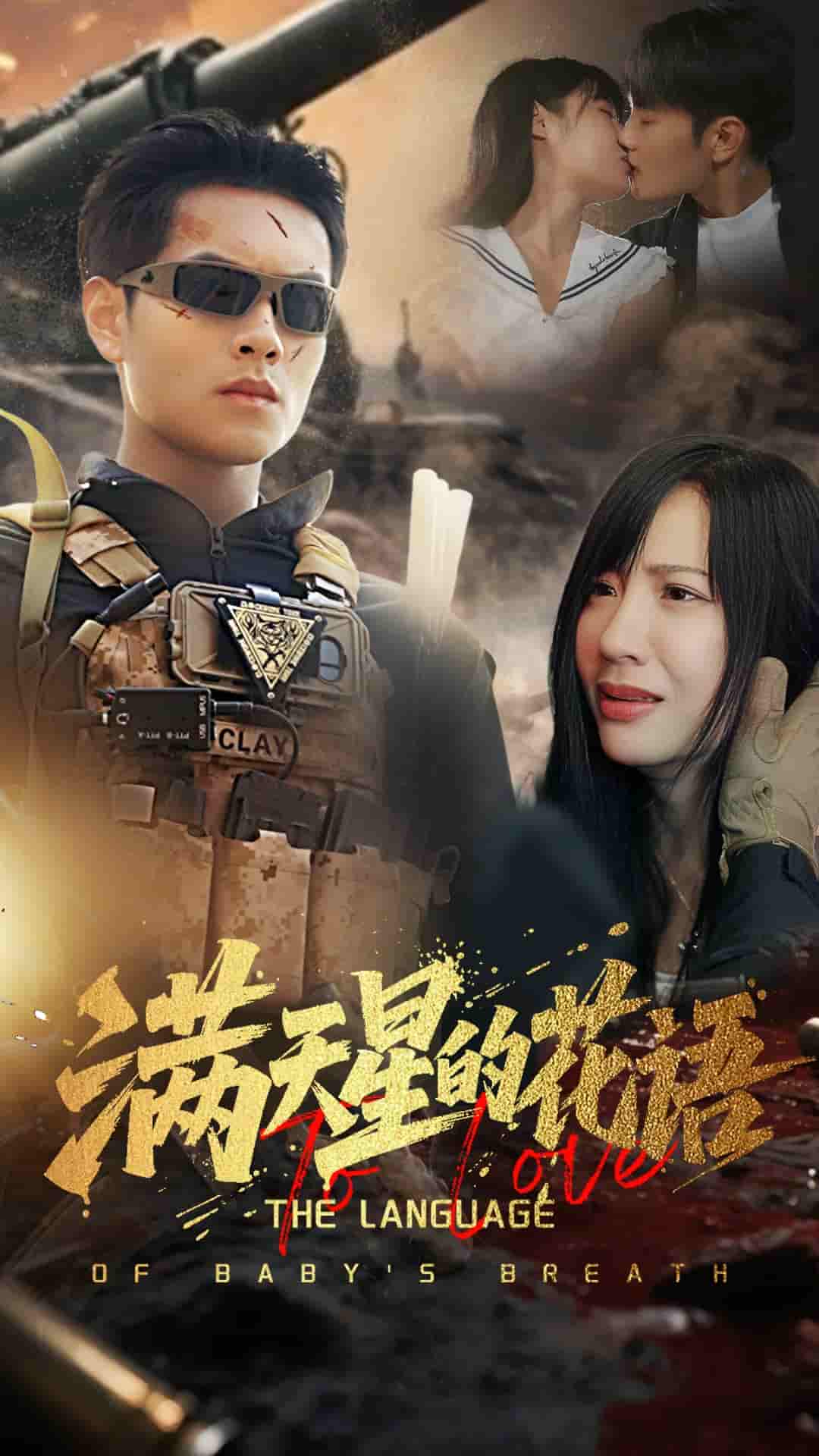 短剧《满天星的花语》 高清短剧全集在线，免费完整版随心观看  第1张