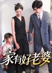 短剧 《家有好老婆》 高清全集完整版免费在线播放  第1张
