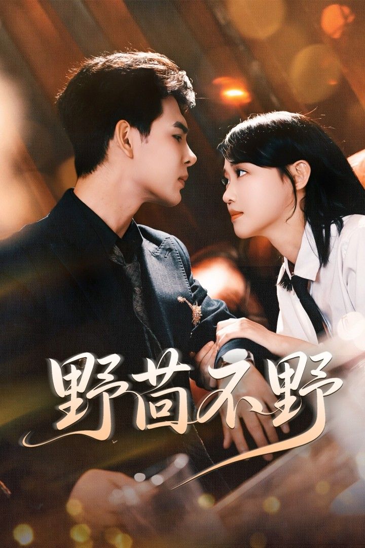 短剧野茴不野高清全集无删减版,在线免费播放。  第1张 短剧野茴不野高清全集无删减版,在线免费播放。  第1张