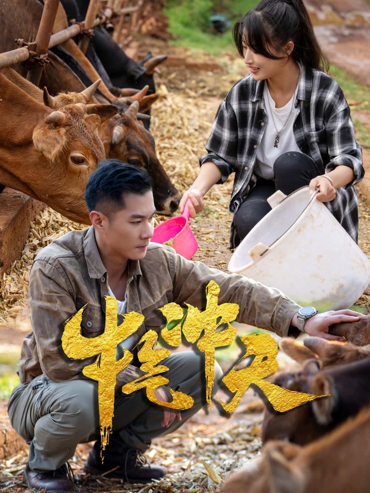 短剧 《牛气冲天》 高清全集完整版免费在线看  第1张