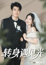短剧转身遇见光免费观看超清全集无删减版无广告，更新全即刻在线播放畅享  第1张