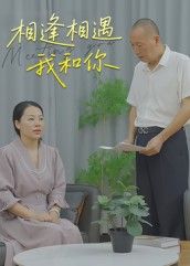 短剧 《相逢相遇我和你》 1080P 高清完整全集在线观看  第1张