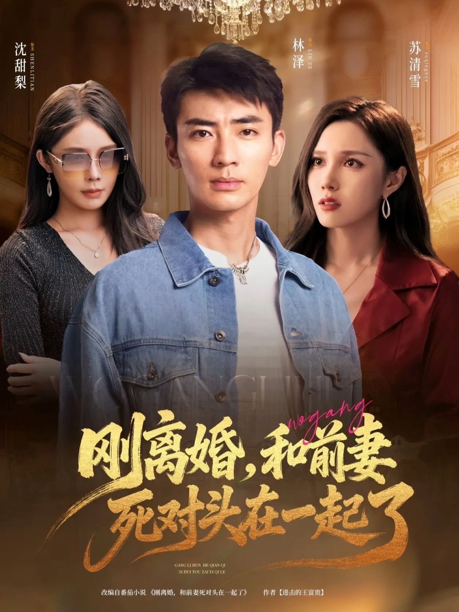 短剧刚离婚和前妻死对头在一起离婚后与前妻死对头意外相恋，在线观看1080P高清全集完整。  第1张