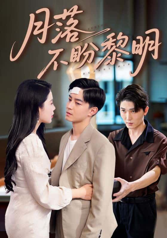 短剧月落不盼黎明超高清全集完整版，无删减更新至大结局，在线观看抢先看。  第1张