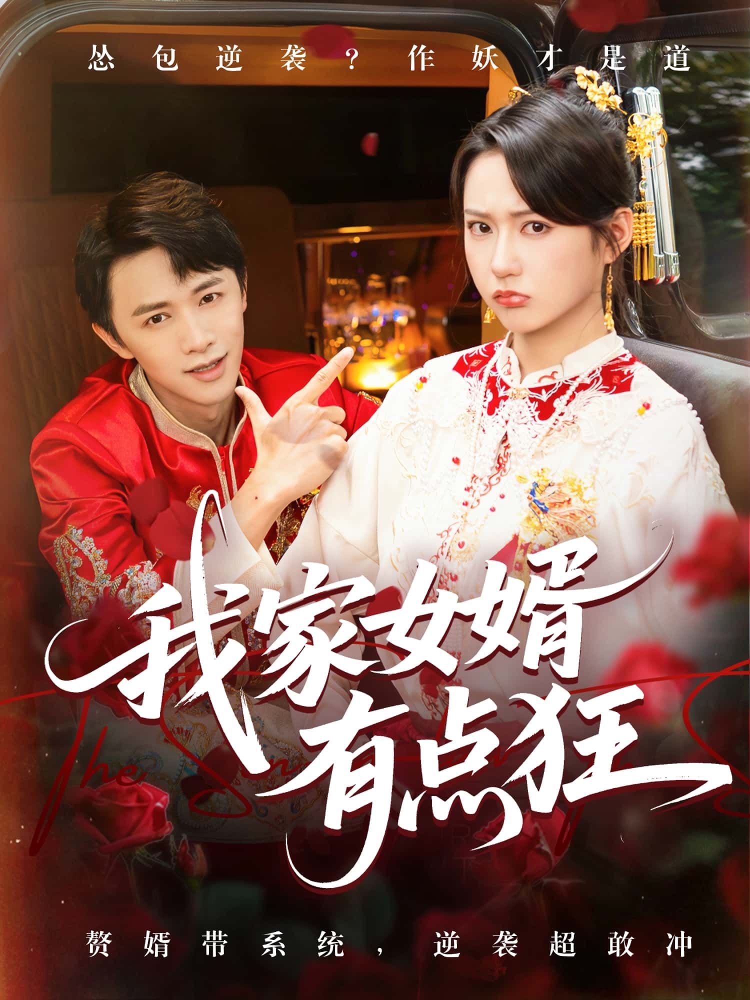 短剧 《我家女婿有点狂》 HD 超高清全集在线观看完整版  第1张