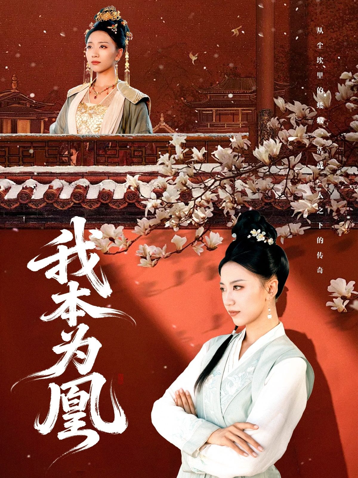 热门短剧我本为凰1080P高清完整全集，在线播放无广告，随时随地畅追精彩剧情，视觉与体验双享受。  第1张