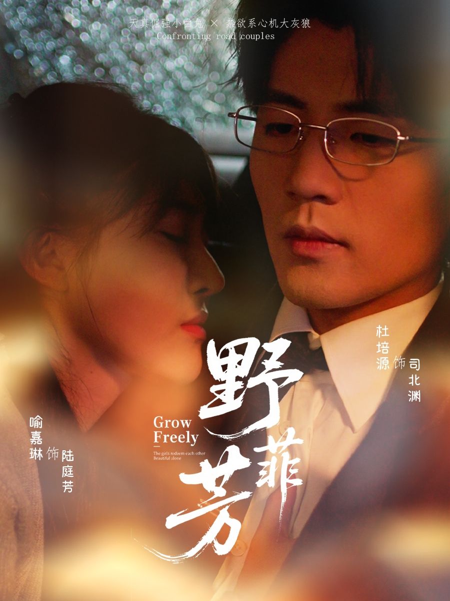 短剧 《野芳菲》 HD 高清无删减全集在线播放 1080P  第1张