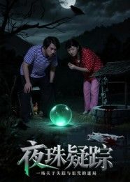 短剧 《夜珠疑踪》 在线观看超高清完整全集无删减  第1张