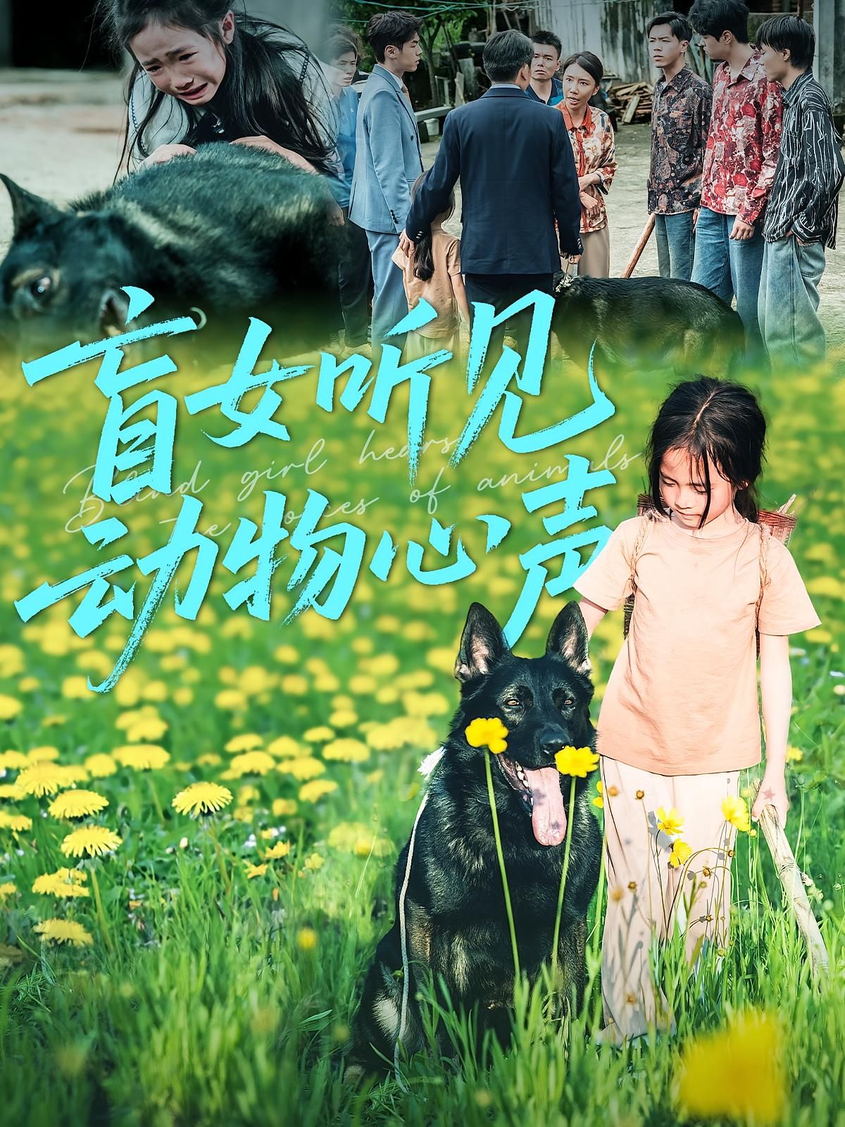 短剧 《盲女听见动物心声》 高清完整全集无删减版在线观看  第1张