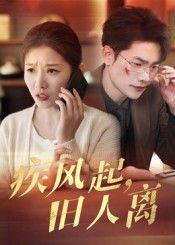 短剧 《疾风起旧人离》 高清完整全集无删减版在线看  第1张