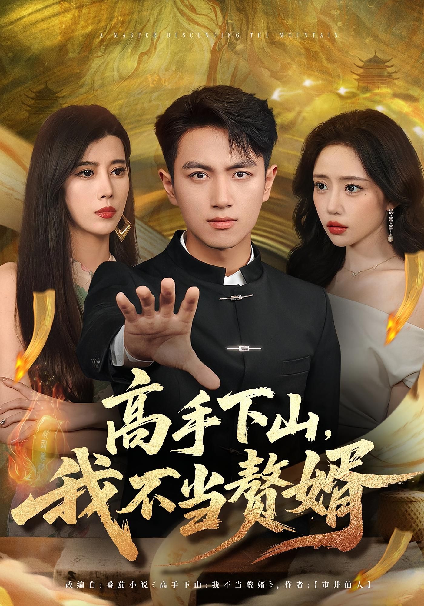短剧 《高手下山我不当赘婿》 在线看高清全集完整版 1080P  第1张