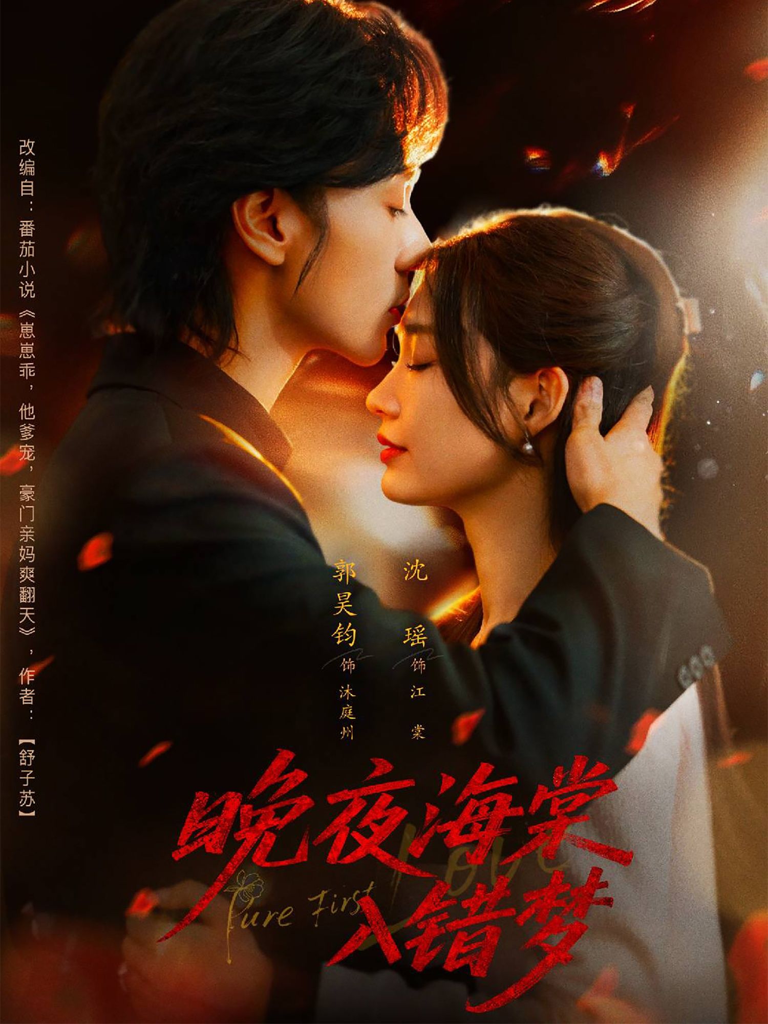 短剧晚夜海棠入错梦高清完整全集无删减版，在线观看  第1张